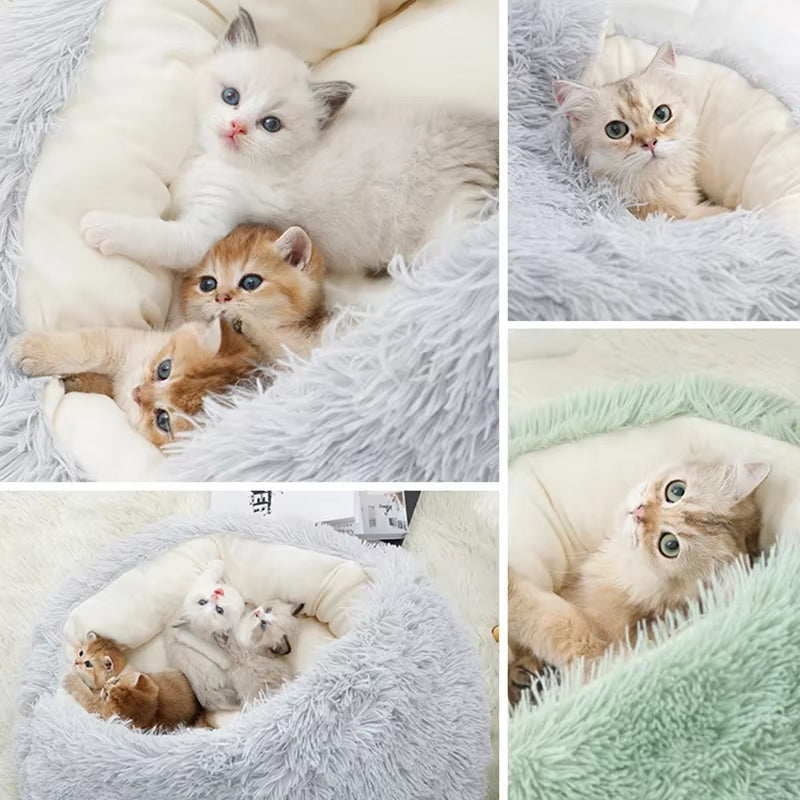 Cozy Cat Cloud: The Purr-fect 2-in-1 Snuggle Space for Furry Nappers and Tiny Canine Snoozers!