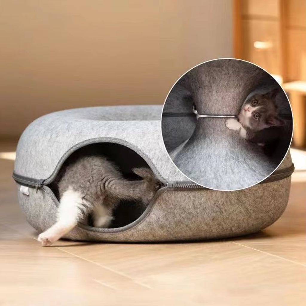 Donut Forget the Fun: Cat Jungle Gym & Nap Zone for Furry Ferrets and Rascally Rabbits!