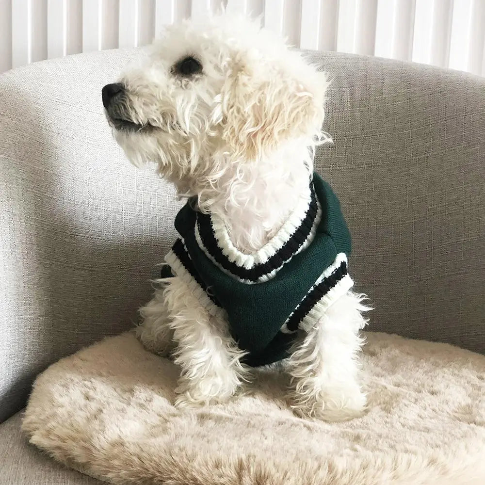 Fashionably Furry: The Striped Snugglinator Sweater for Pooches and Pussycats - Because Even Pets Need to Slay Winter in Style!