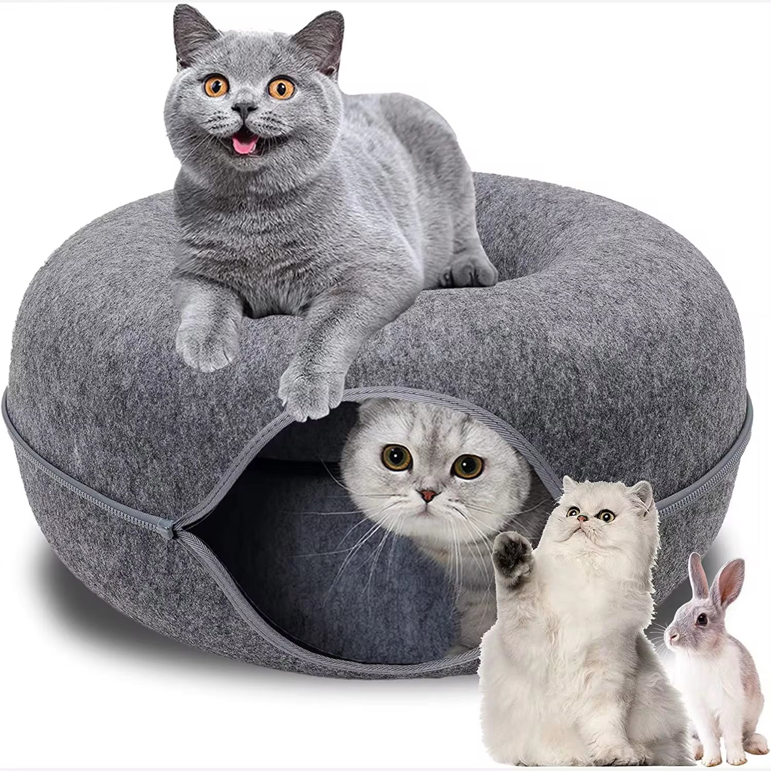 Donut Forget the Fun: Cat Jungle Gym & Nap Zone for Furry Ferrets and Rascally Rabbits!