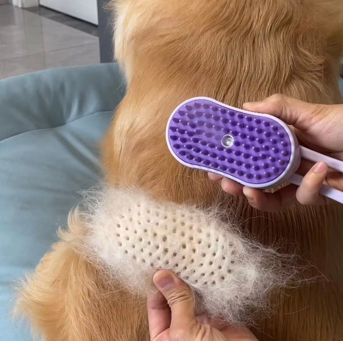 Furry Fury Zapper: The Electric Comb That Sprays Away Your Pet's Drama and Unwanted Fur!