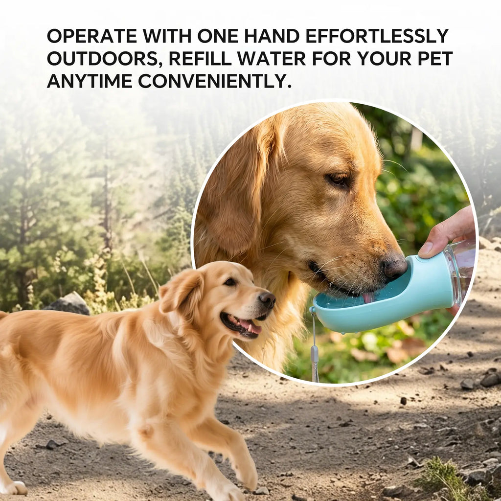 The Ultimate Doggy Hydration Station: Sippy Cup, Snack Shack, and Poop Bag Cannon All in One - Perfect for Adventures with Your Furry Sidekick!