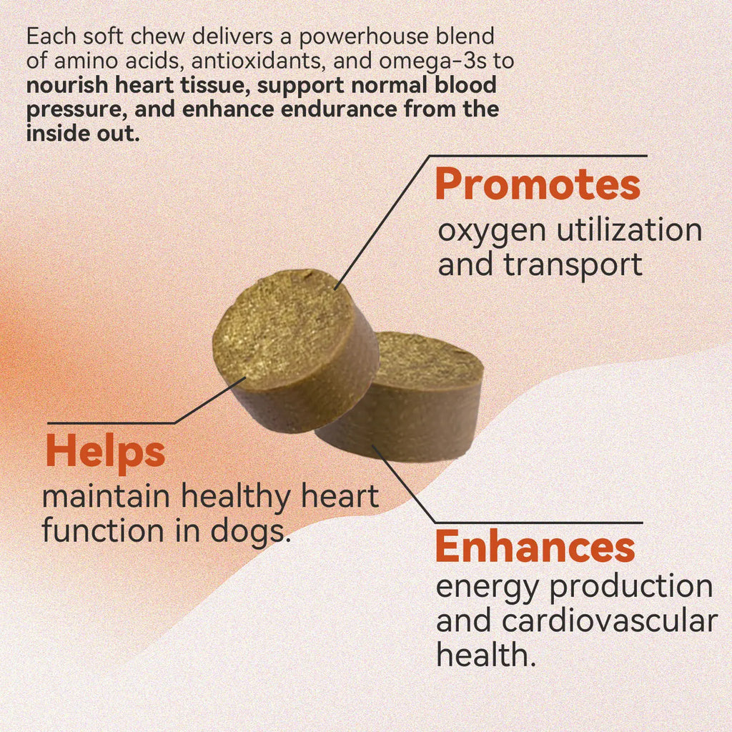 Pooch Power Chews: Tail-Wagging Taurine & Coq10 for Happy, Healthy Hounds!