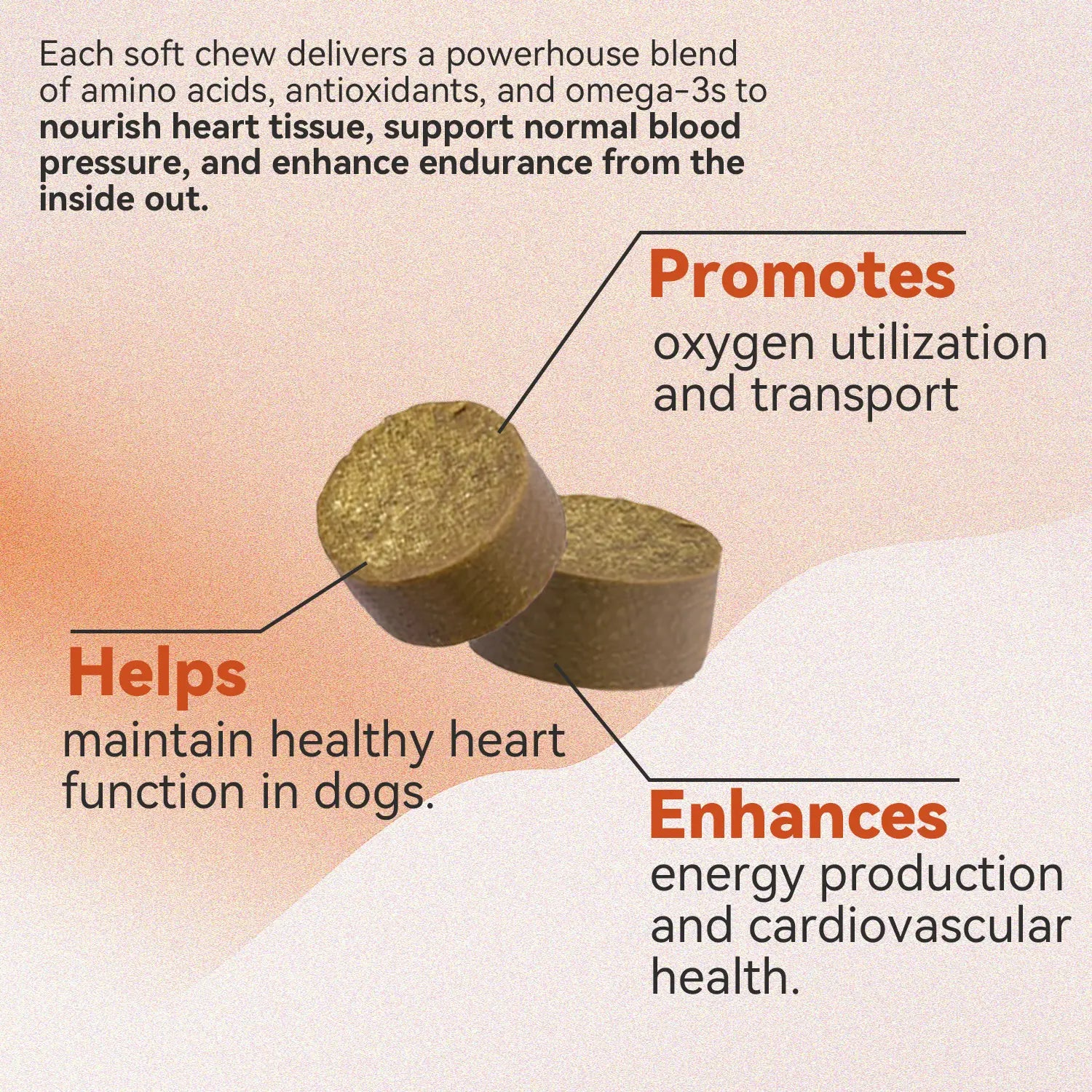 Pooch Power Chews: Tail-Wagging Taurine & Coq10 for Happy, Healthy Hounds!