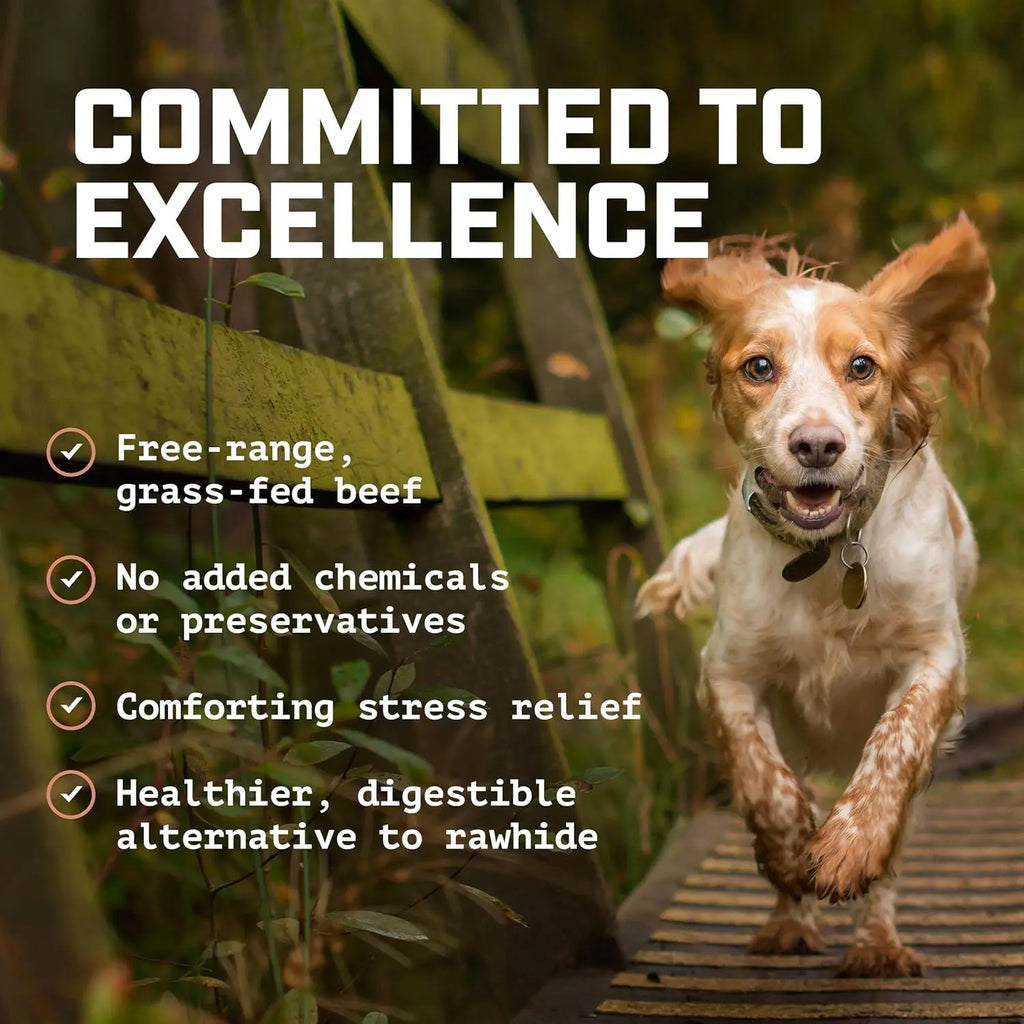 6-Inch Bully Sticks (8Oz./~9-11 Sticks) Healthy, All-Natural, Long-Lasting Dog Chews, Low-Odor, Mixed Thickness