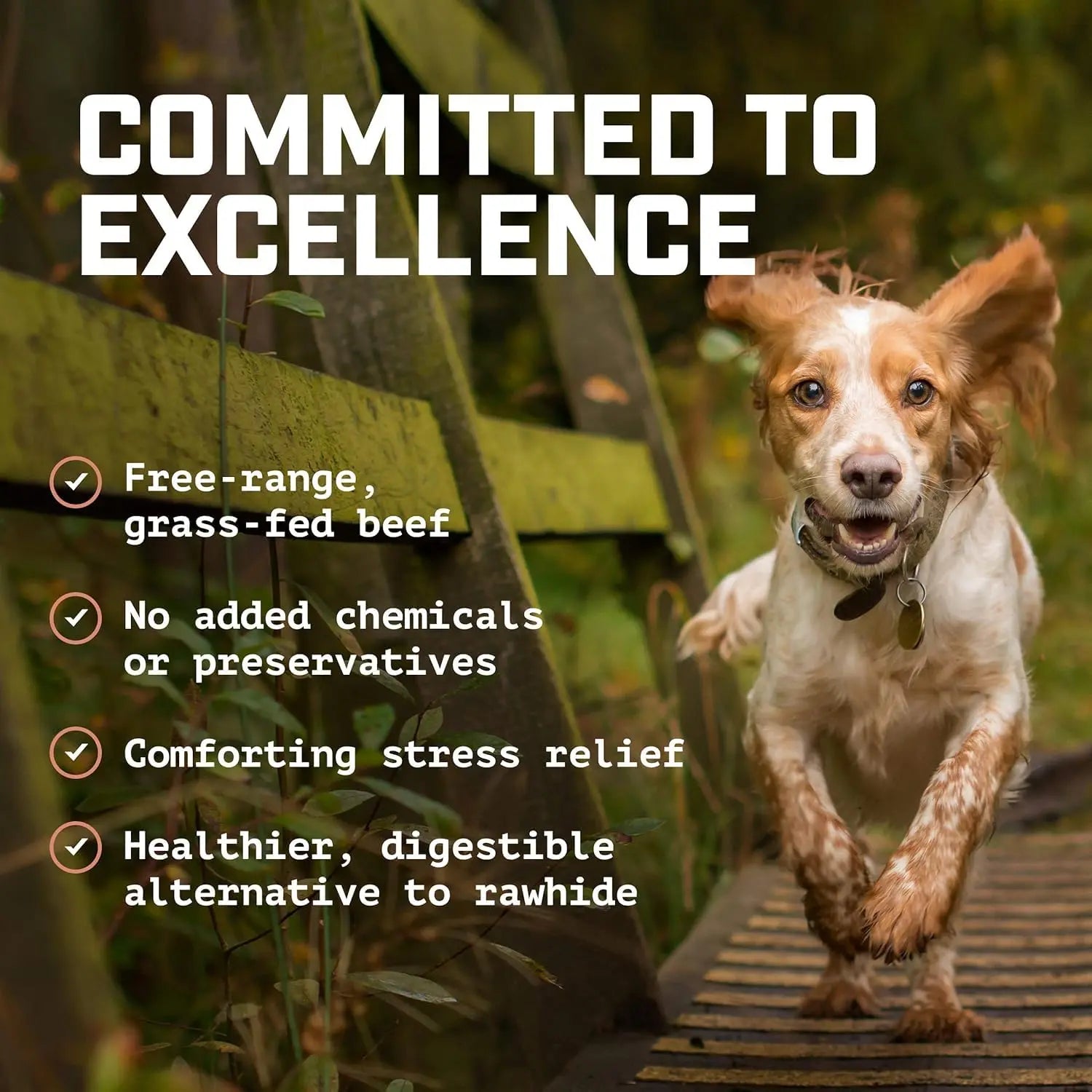 6-Inch Bully Sticks (8Oz./~9-11 Sticks) Healthy, All-Natural, Long-Lasting Dog Chews, Low-Odor, Mixed Thickness