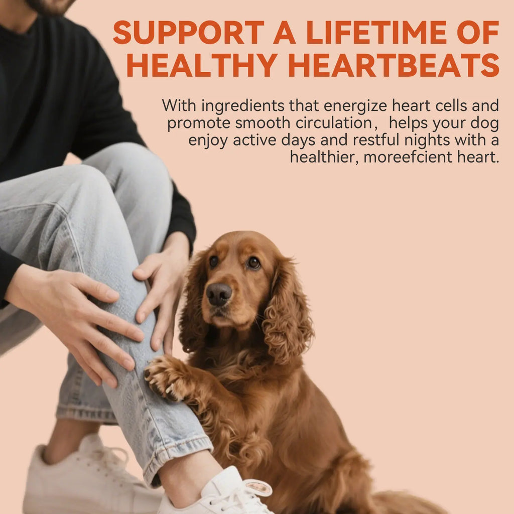 Pooch Power Chews: Tail-Wagging Taurine & Coq10 for Happy, Healthy Hounds!