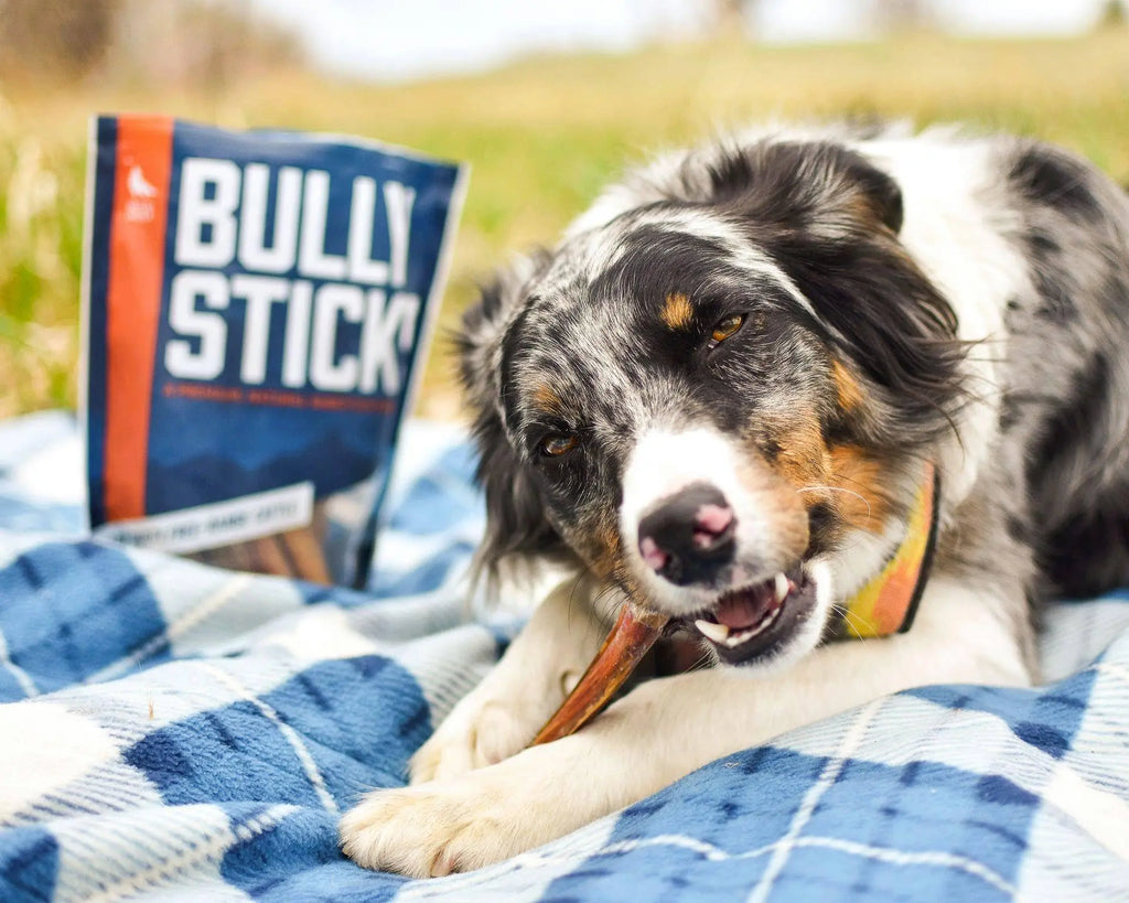 6-Inch Bully Sticks (8Oz./~9-11 Sticks) Healthy, All-Natural, Long-Lasting Dog Chews, Low-Odor, Mixed Thickness