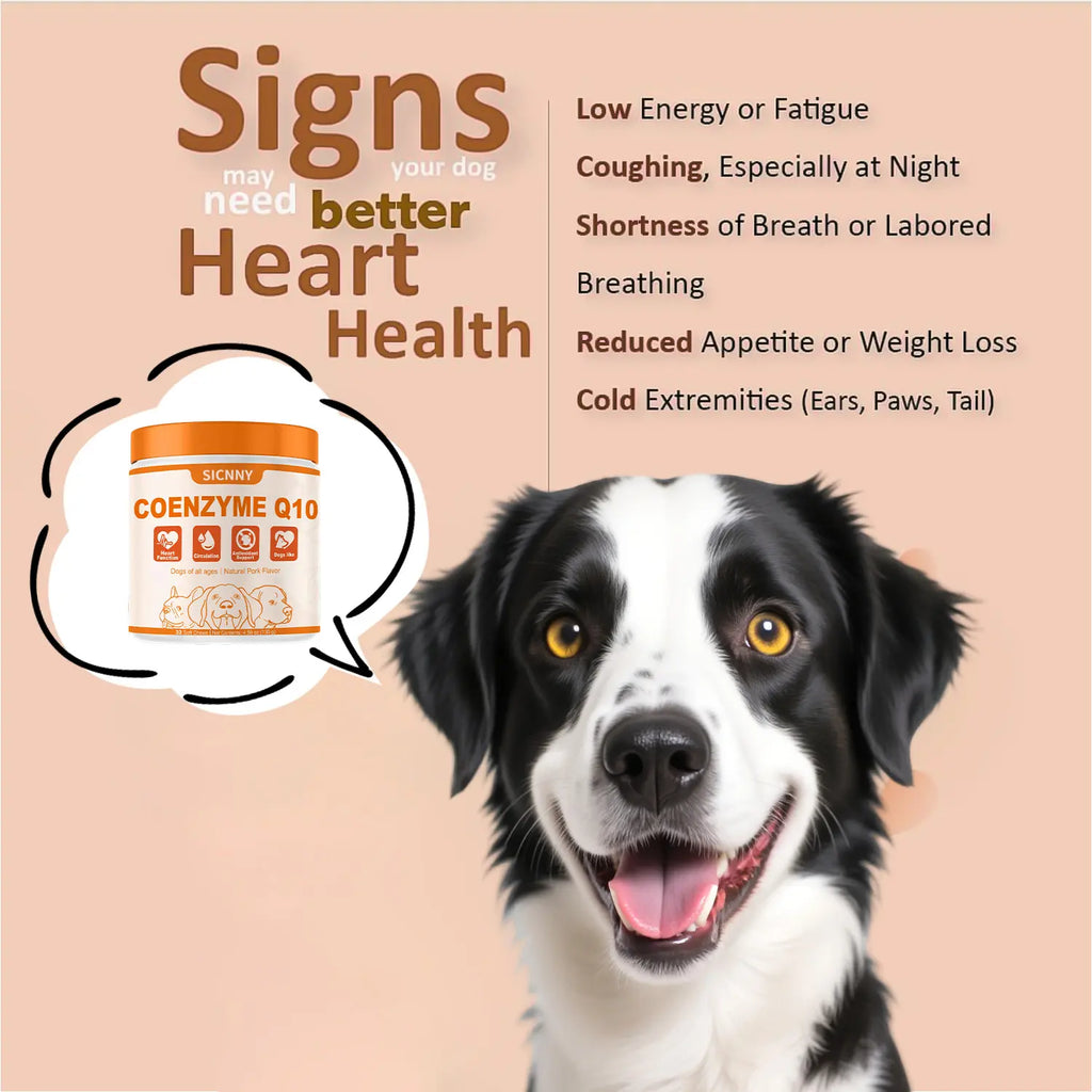 Pooch Power Chews: Tail-Wagging Taurine & Coq10 for Happy, Healthy Hounds!