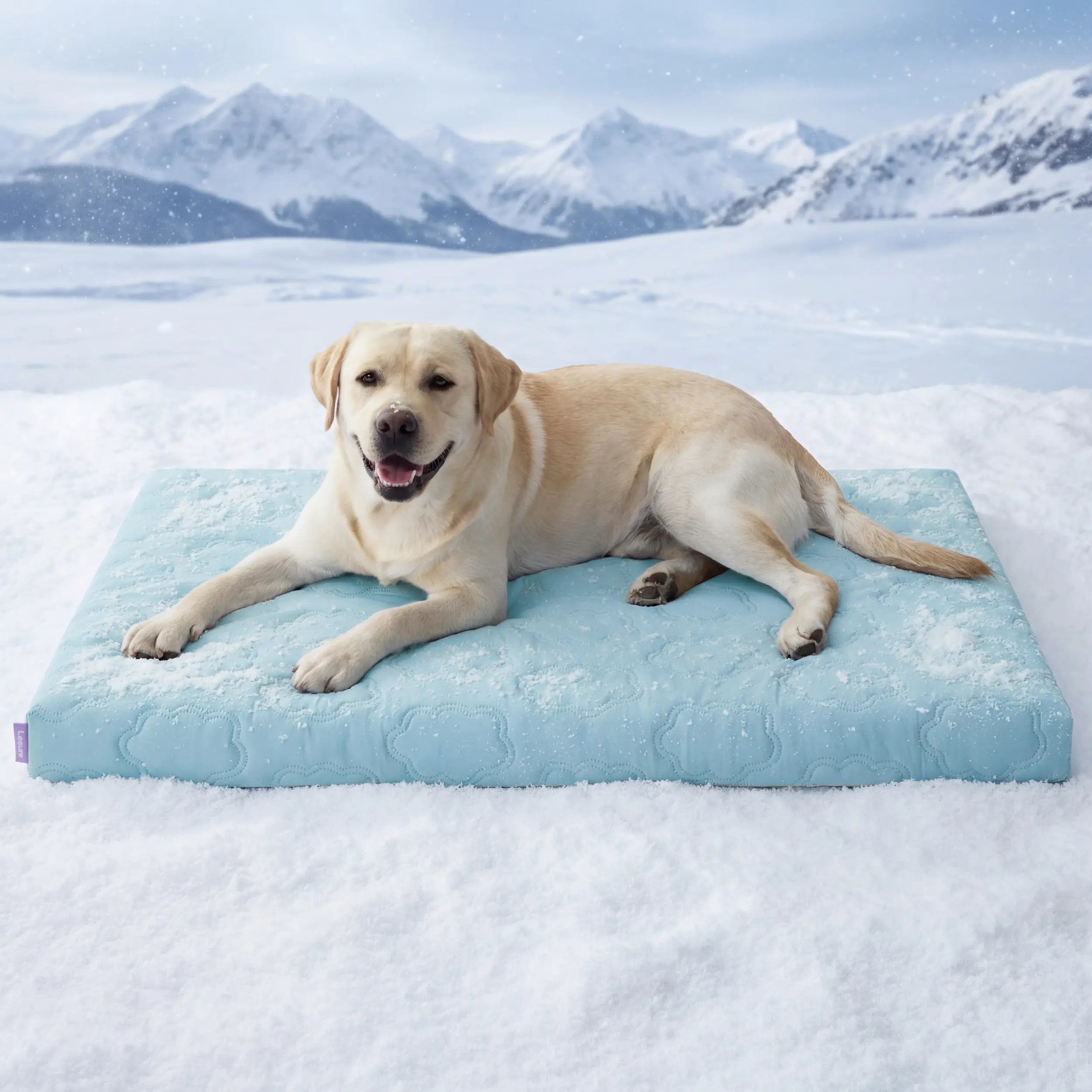 Bedsure Pet Cooling Blanket for Dogs & Cats - Machinewash Easy, Heat Dissipation, Multi-Sizes, Skin-Friendly, Washable Breathable Throw for Couch & Bed